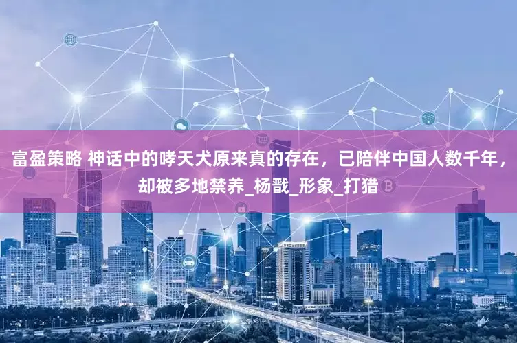 富盈策略 神话中的哮天犬原来真的存在，已陪伴中国人数千年，却被多地禁养_杨戬_形象_打猎