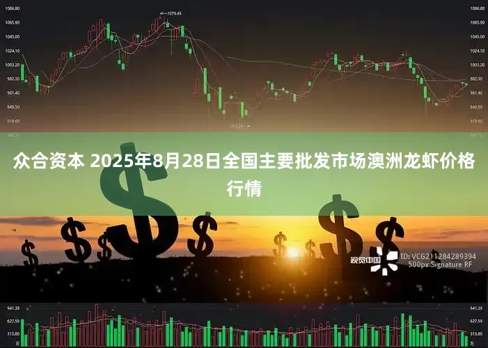众合资本 2025年8月28日全国主要批发市场澳洲龙虾价格行情
