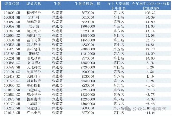 安联 牛散张素芬2025年第二季度持股